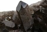 Dark Smoky Quartz Crystal Cluster - Brazil #84848-3